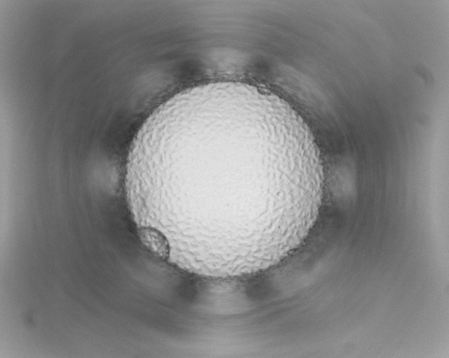 X0000115490709200911271349