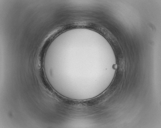 X0000115490731200911271348