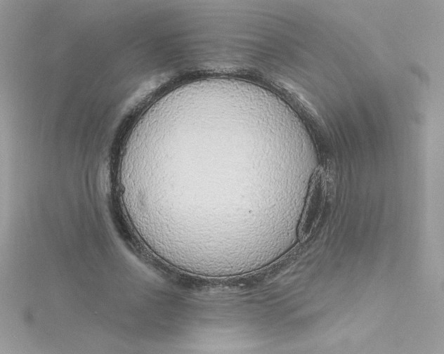 X0000115490734200911271348