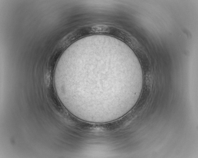 X0000115490741200911271348