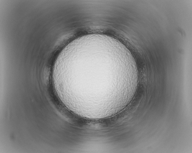 X0000115490742200911271348