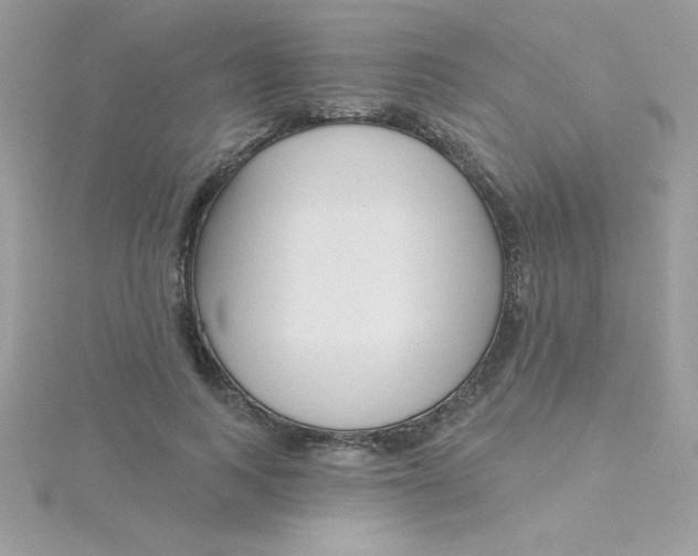X0000115490743200911271348