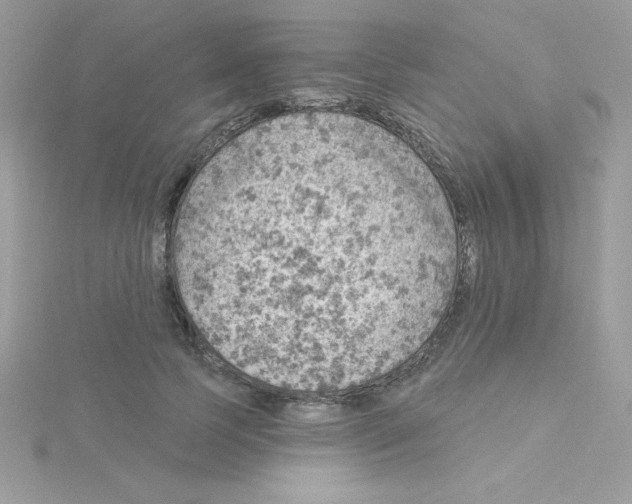 X0000115490745200911271348