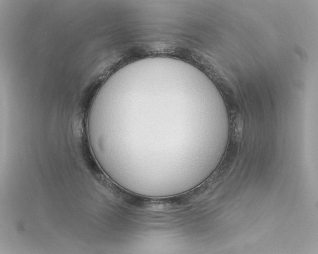 X0000115490746200911271348