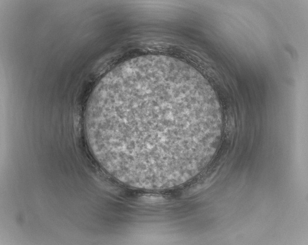 X0000115490749200911271348