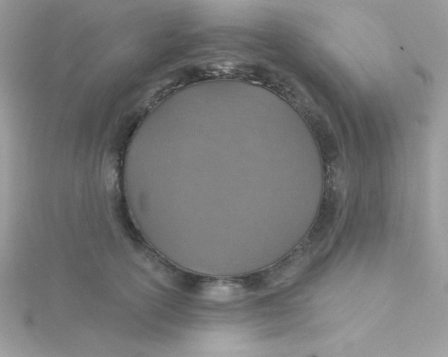 X0000115490754200911271348