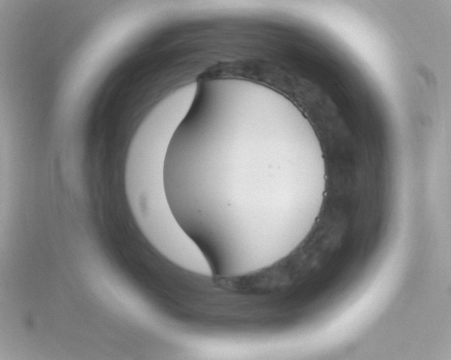 X0000115490766200911271349
