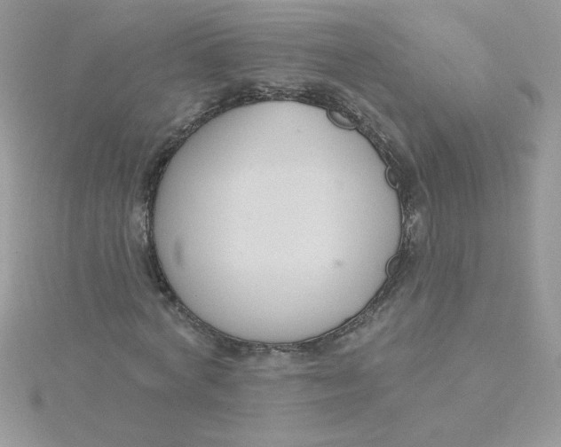 X0000115490772200911271348