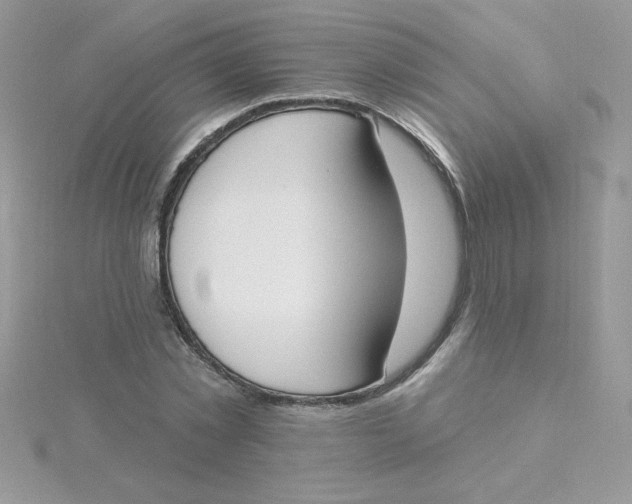 X0000115490781200911271348