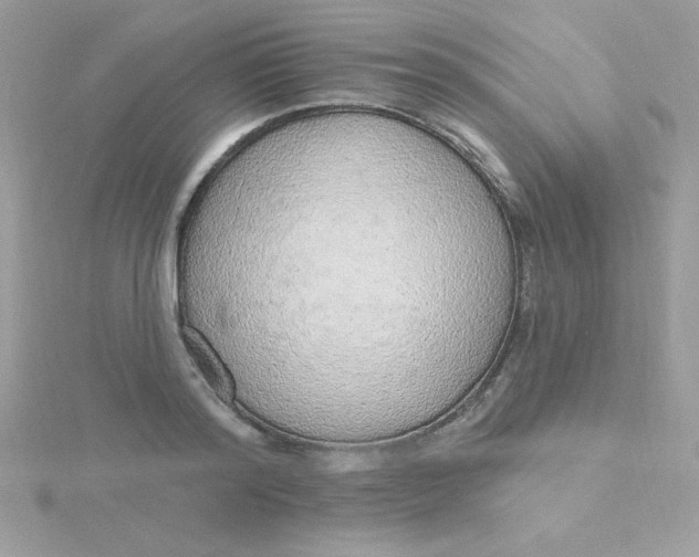 X0000115490796200911271348