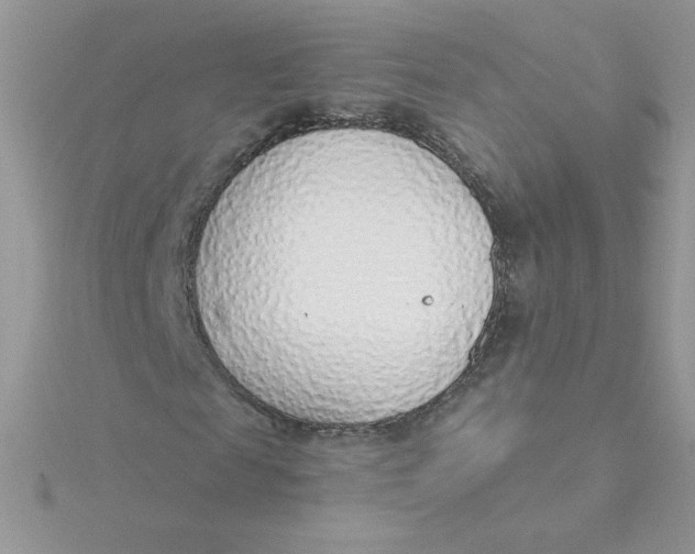 X0000115490817200911271347