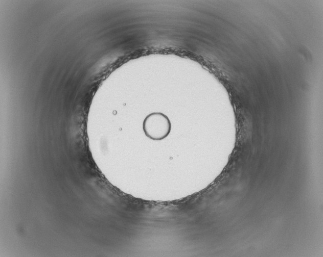 X0000115490824200911271347