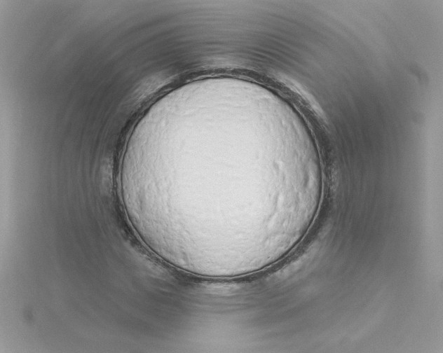 X0000115490825200911271347