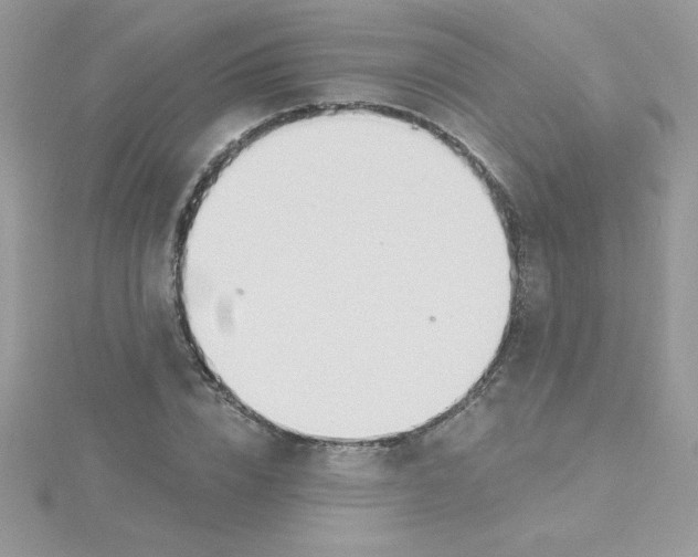 X0000115490832200911271347