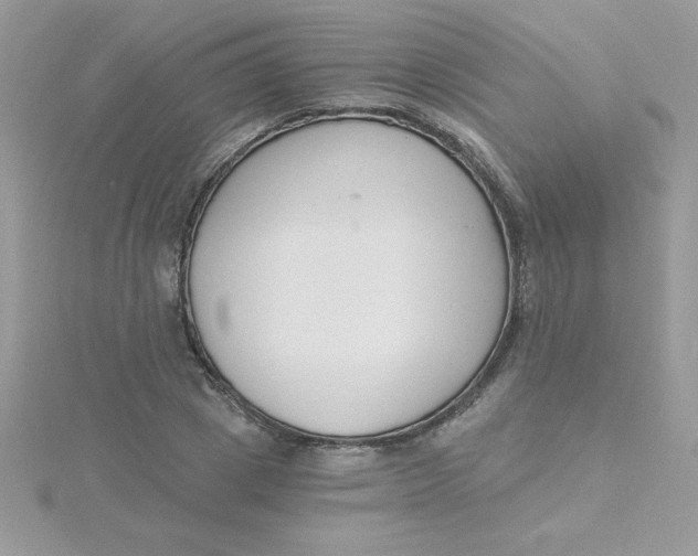 X0000115490833200911271347