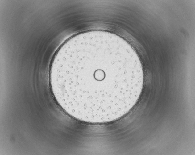 X0000115490836200911271347
