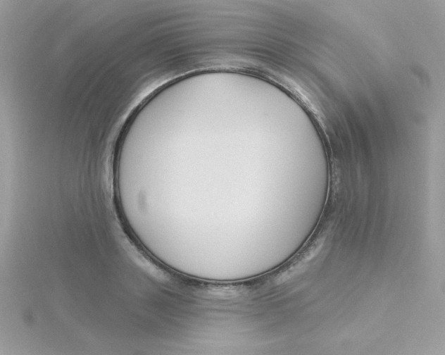 X0000115490843200911271347
