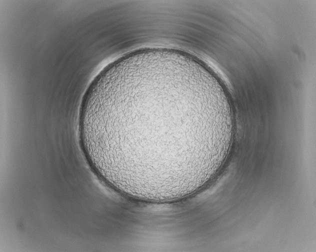 X0000115490845200911271347
