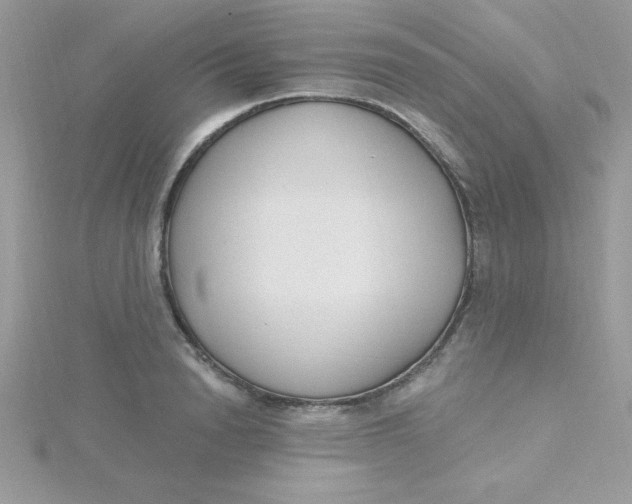X0000115490846200911271347