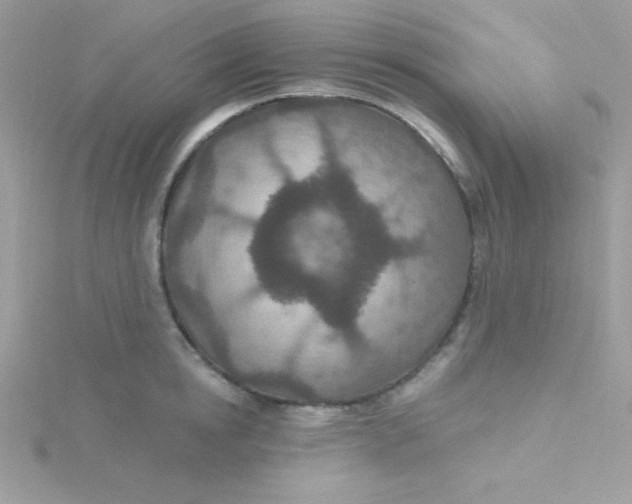 X0000115490854200911271347