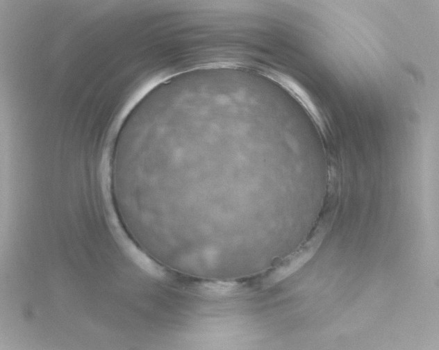X0000115490859200911271347