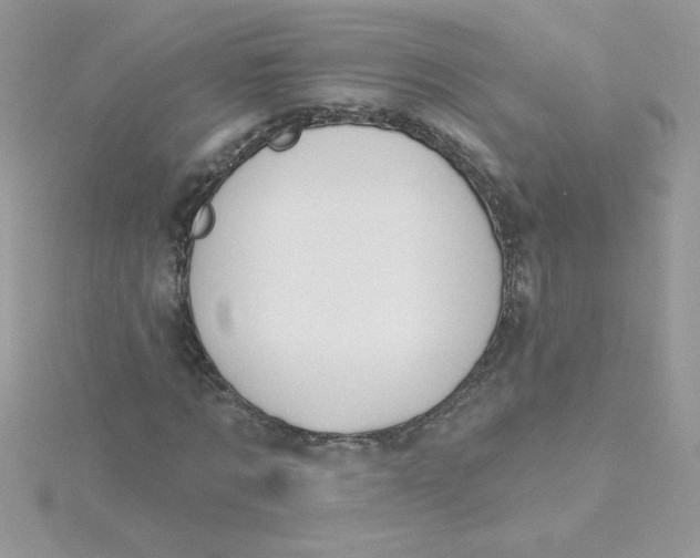 X0000115490869200911271346