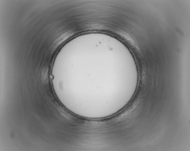 X0000115490873200911271346