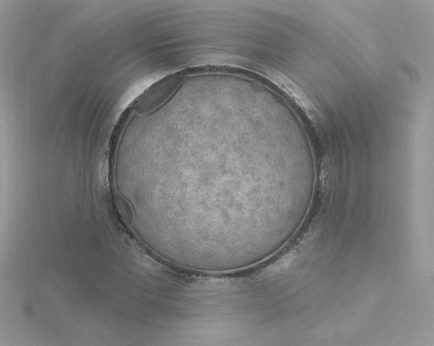 X0000115490877200911271346