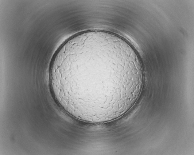 X0000115490891200911271346