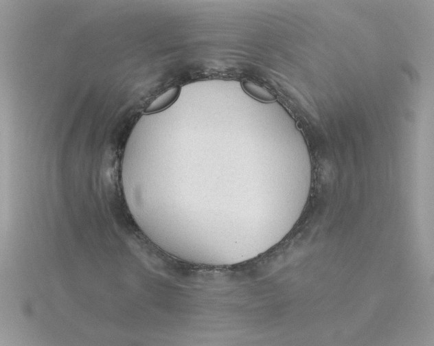 X0000115490914200911271345