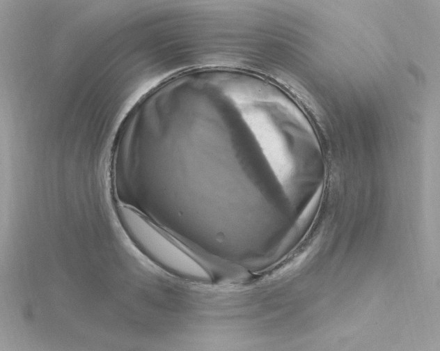 X0000115490941200911271346