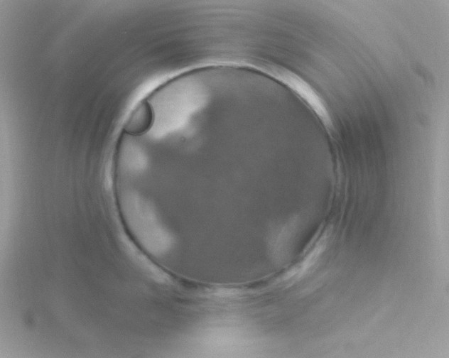 X0000115490958200911271346