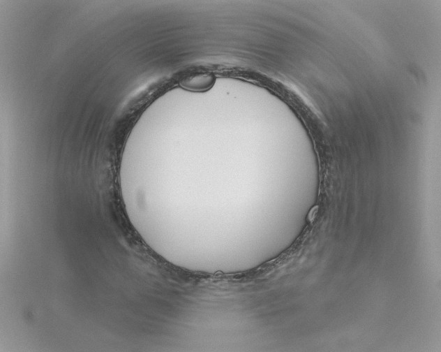 X0000115490967200911271345