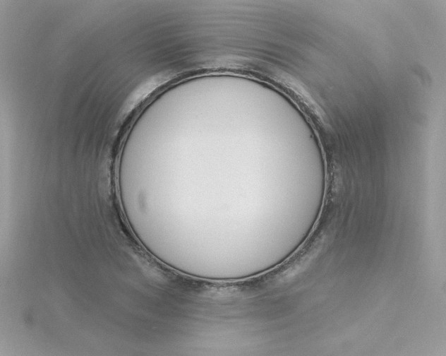 X0000115490978200911271345