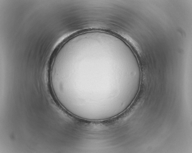 X0000115490983200911271345