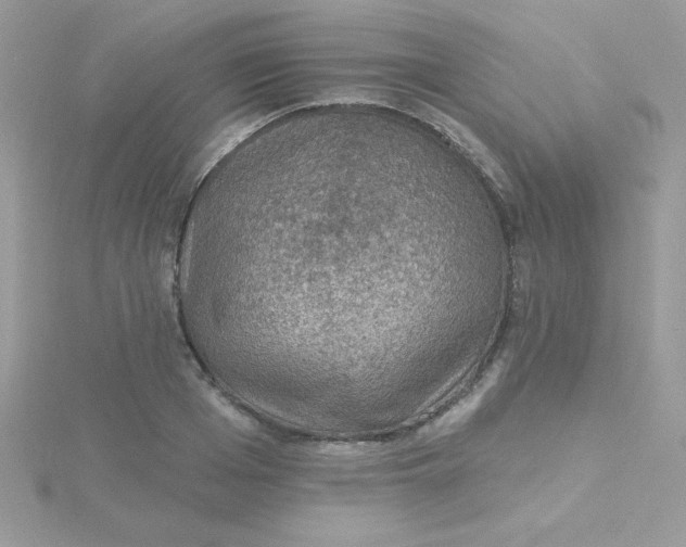 X0000115490985200911271345