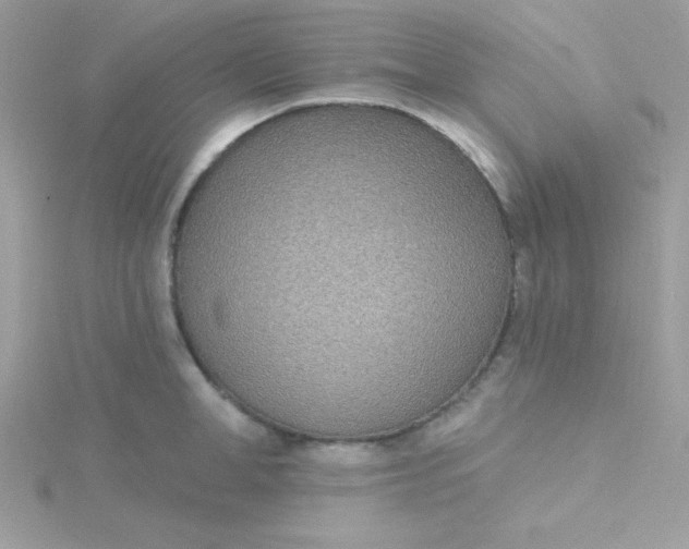 X0000115490998200911271345