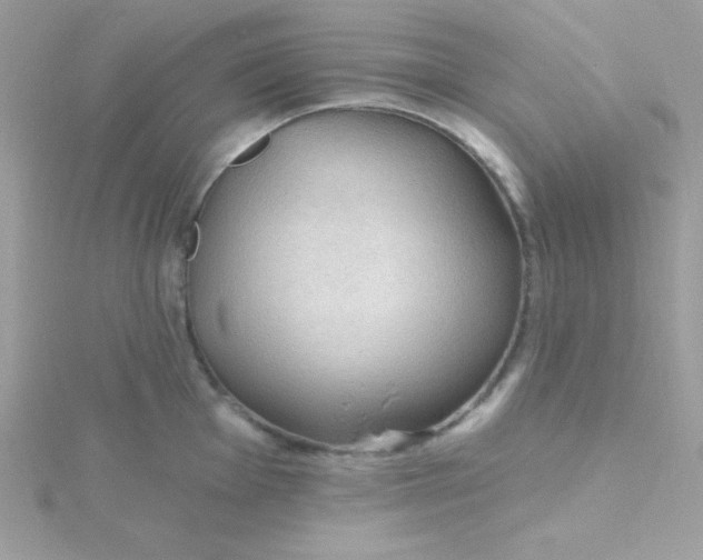 X0000115491001200911271345