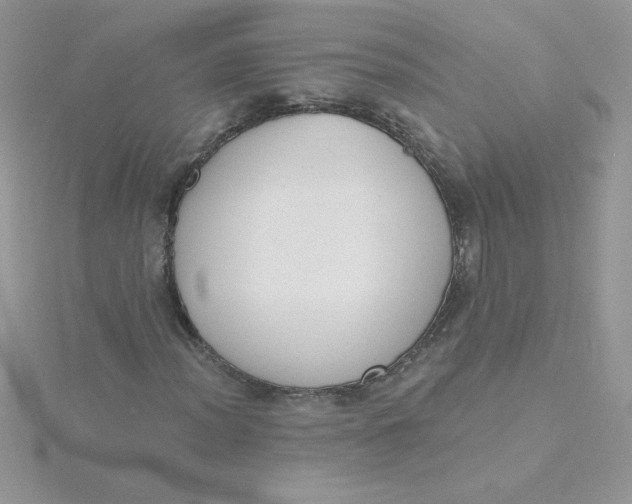X0000115491012200911271344