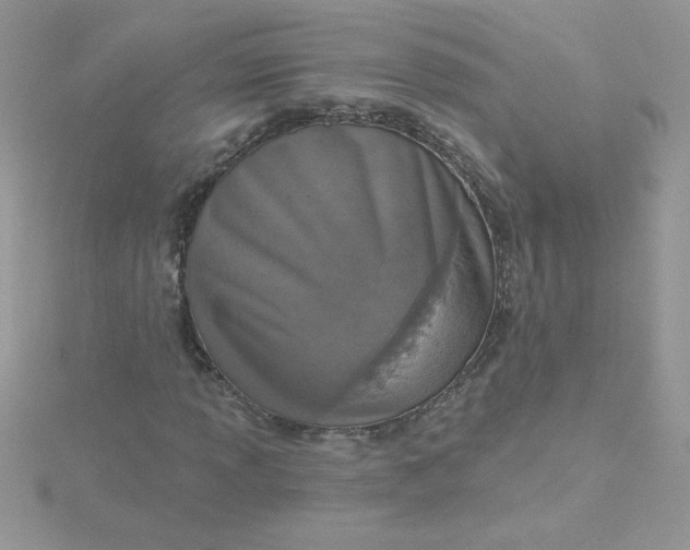 X0000115491013200911271344