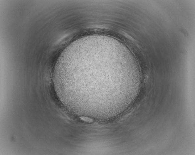 X0000115491014200911271344