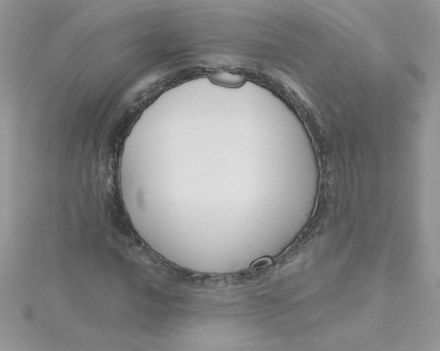 X0000115491016200911271344