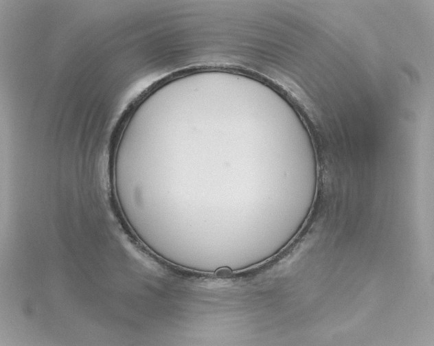 X0000115491030200911271344