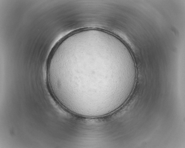 X0000115491032200911271344