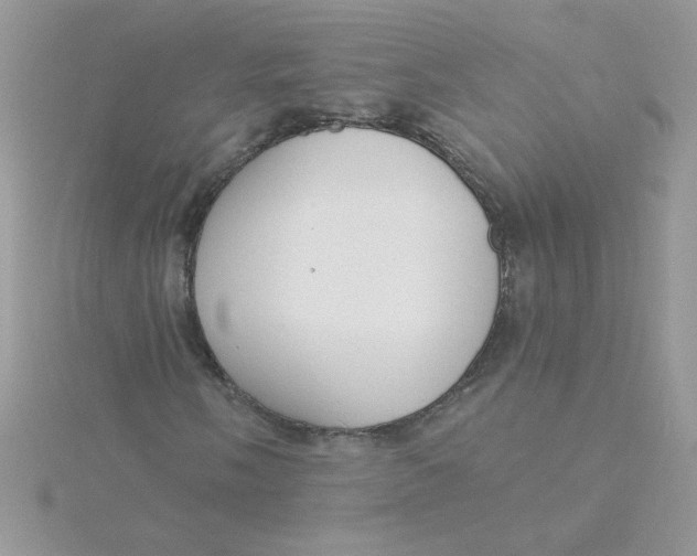 X0000115491058200911271344