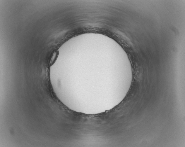 X0000115491061200911271344