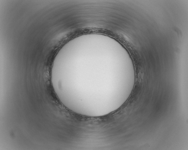 X0000115491062200911271344