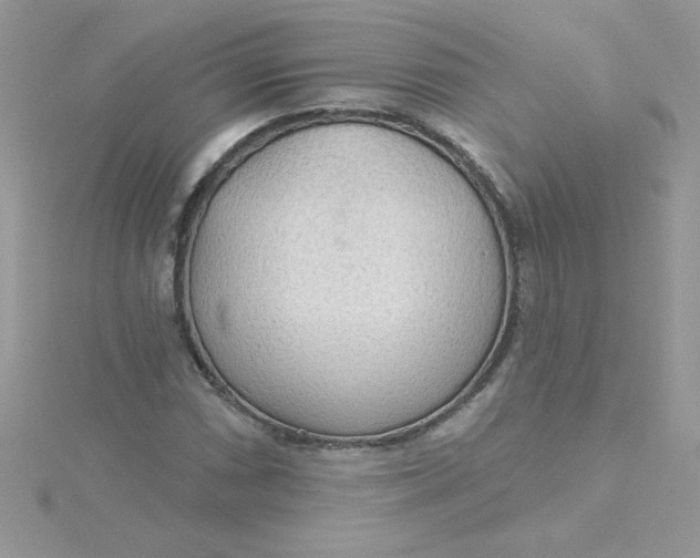 X0000115491066200911271344