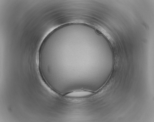 X0000115491084200911271344