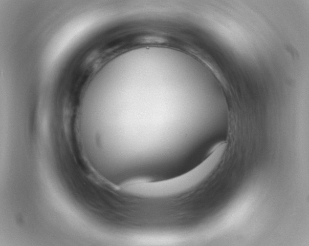 X0000115491151200911271343